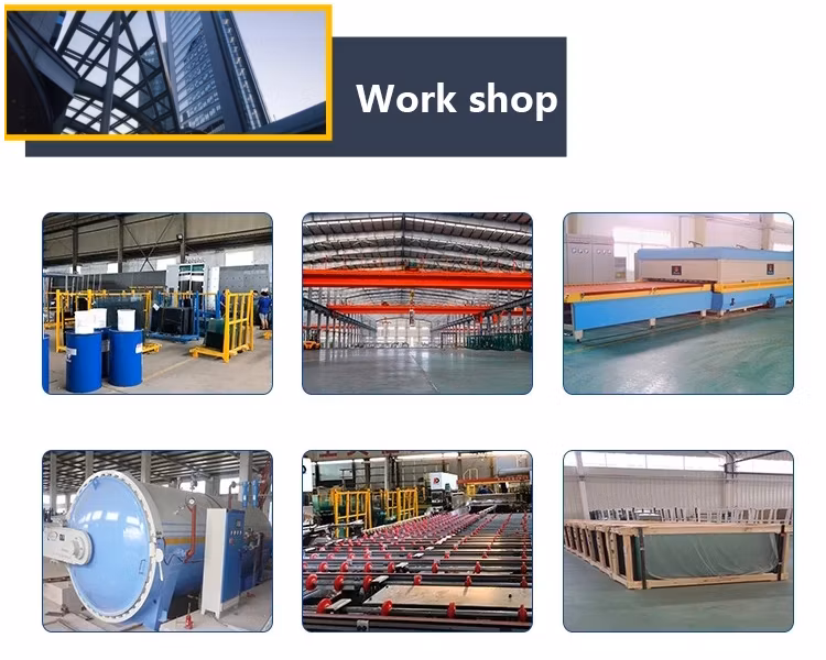Competitive Prices Quality Assured 24.52mm 12mm Thick Laminated Glass for Green House
