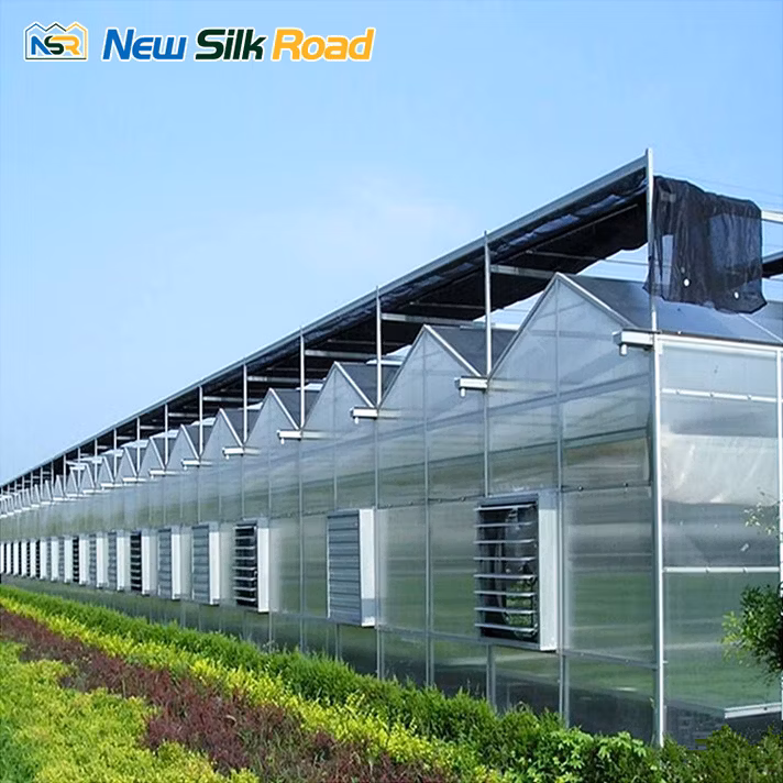 Factory Price Wholesale Large Commercial Multi-Span Double-Layer Polycarbonate Greenhouse