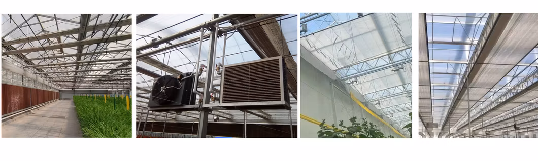 Cost-Effective Anti-Fogging Hydroponic Farm Greenhouse with Temperature Control Features