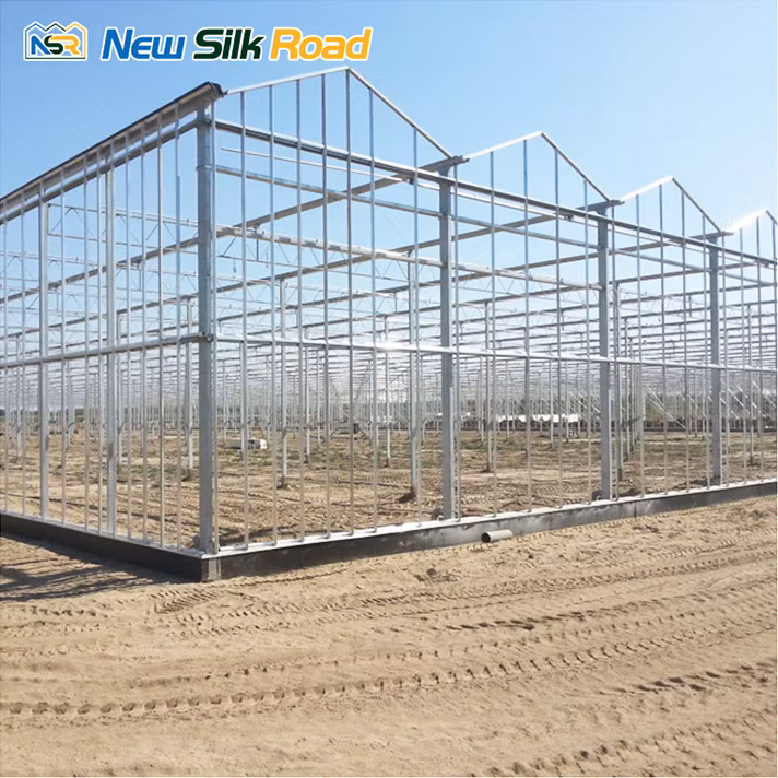 Factory Price Wholesale Large Commercial Multi-Span Double-Layer Polycarbonate Greenhouse