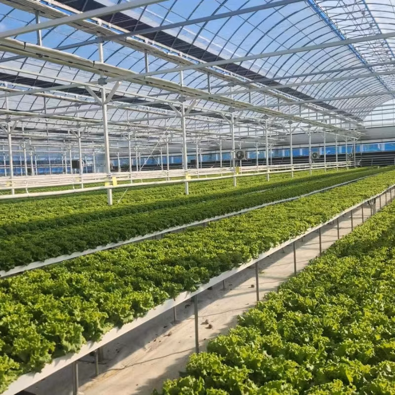 Vertical Farming Solutions Indoor Hydroponic Gardening Nft Setup