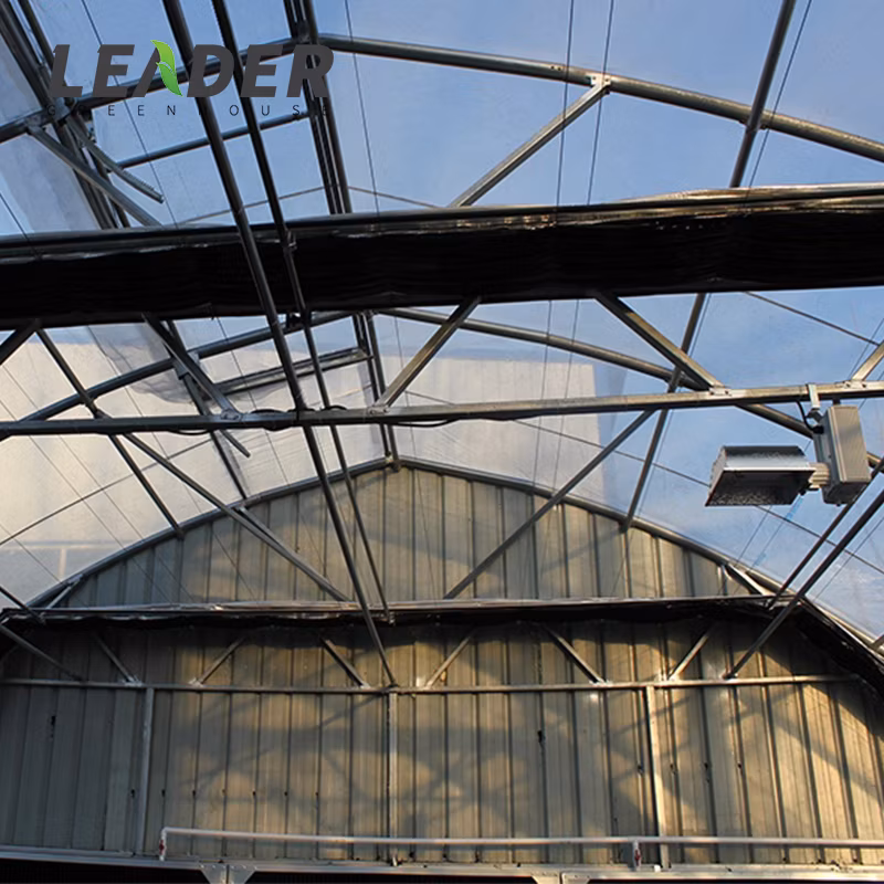 Single Span Nursery Hot DIP Galvanized Steel Frame Structure Greenhouse for Sale