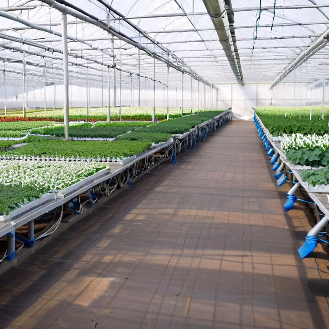 LED Light Container Farm Greenhouse for Efficient Hydroponic Seedling Growth