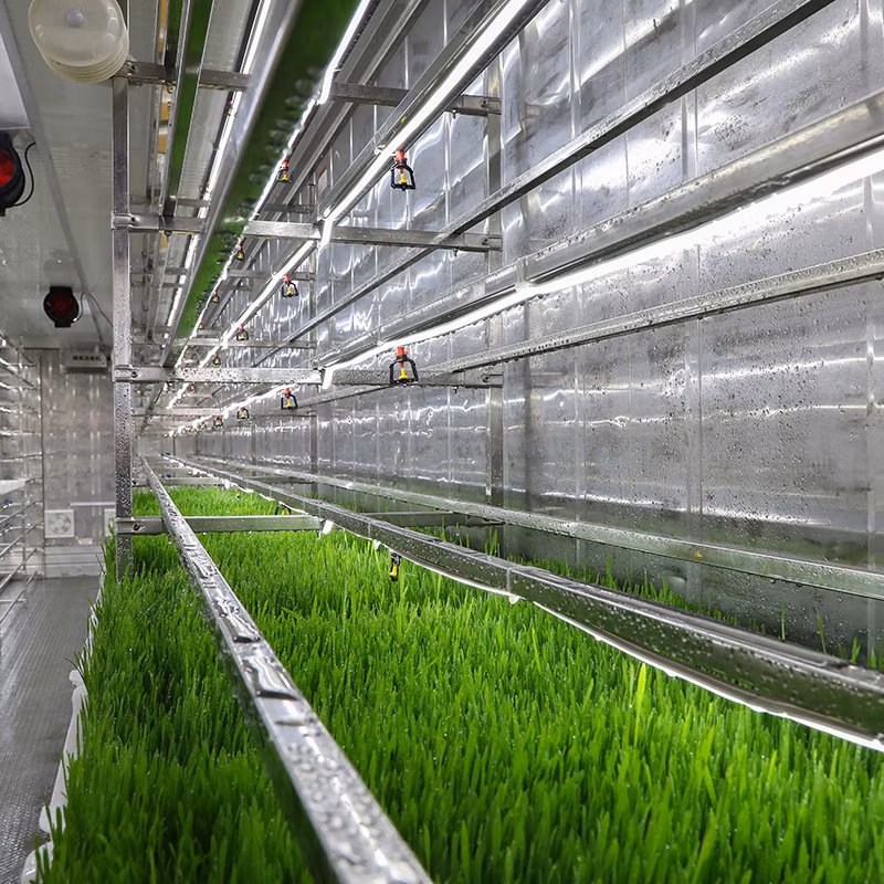 Hydroponic Forage Micro Vegetables Growing Container Farm for Sale