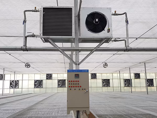 China Supplier Greenhouse Film Cover for Agriculture Rose Growing Equipped Climate Adjustment Systems