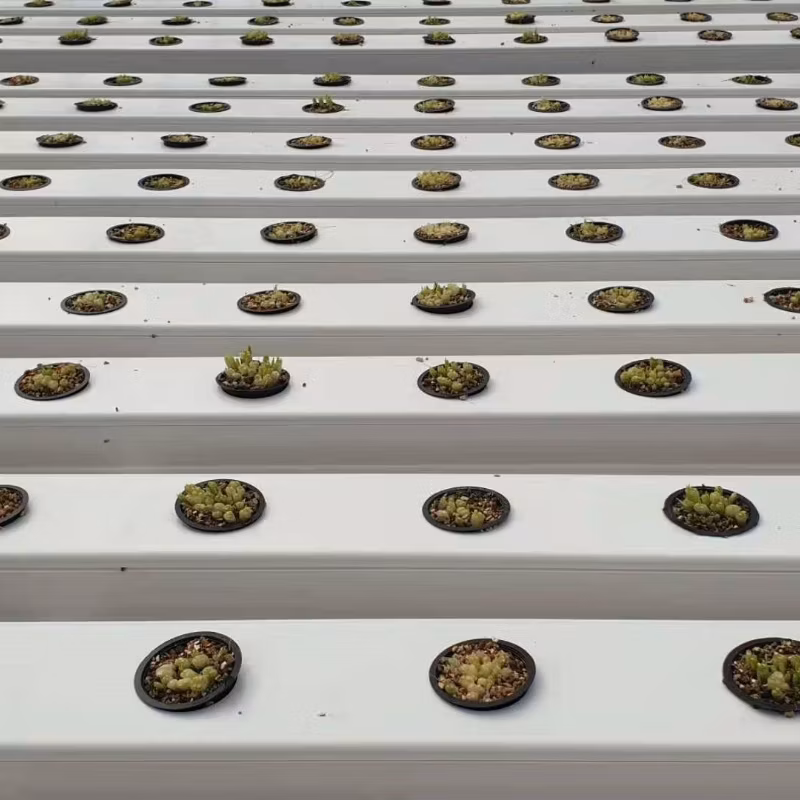 Vertical Farming Solutions Indoor Hydroponic Gardening Nft Setup