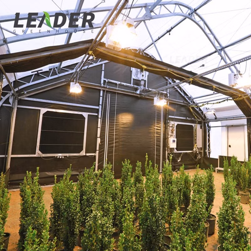 Single Span Nursery Hot DIP Galvanized Steel Frame Structure Greenhouse for Sale