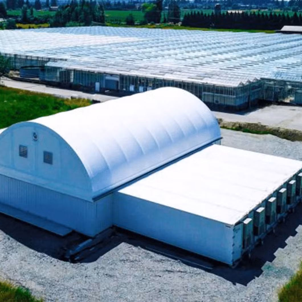 LED Light Container Farm Greenhouse for Efficient Hydroponic Seedling Growth