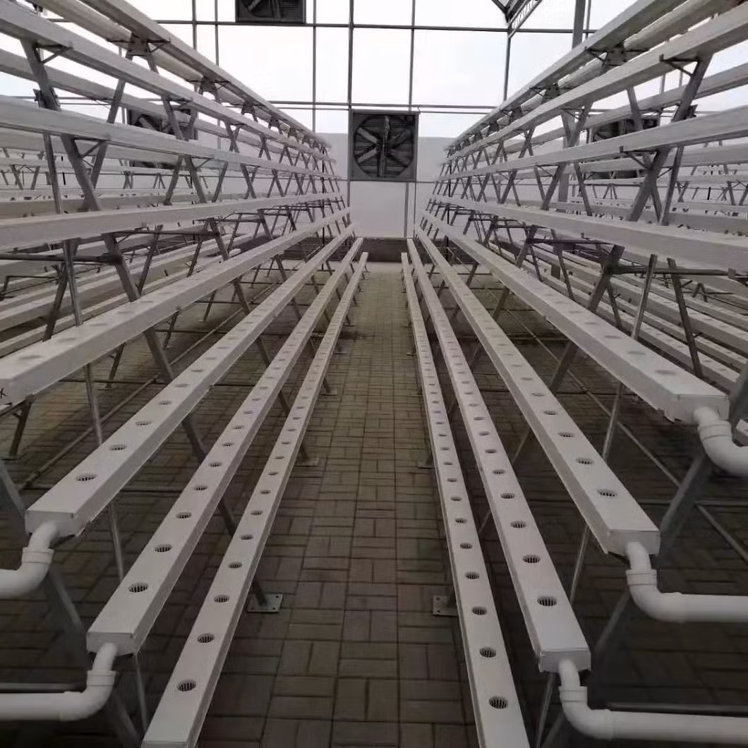 Zewo High Efficient Venlo Tempered Glass Green House with Hot DIP Galvanized Greenhouse Pipe