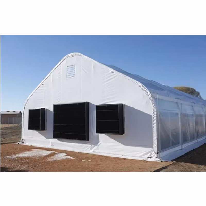 High Quality Commercial PE Film Large-Span Hot Galvanizing Hoop Greenhouse for Fruits/Mushroom