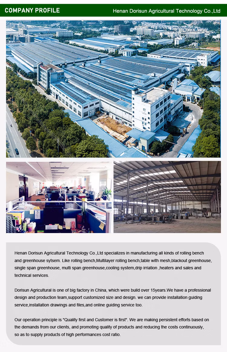 Mist Cooling System Galvanized Garden Metal Sale Wholesale Price Glass Hydroponics Sawtooth Single Span Greenhouse
