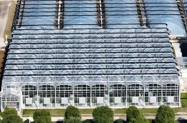 Intelligent Agricultural Glass Greenhouse for Soilless Tomatoes/Peppers/Fruits with Shading and Cooling System Selling to Russia