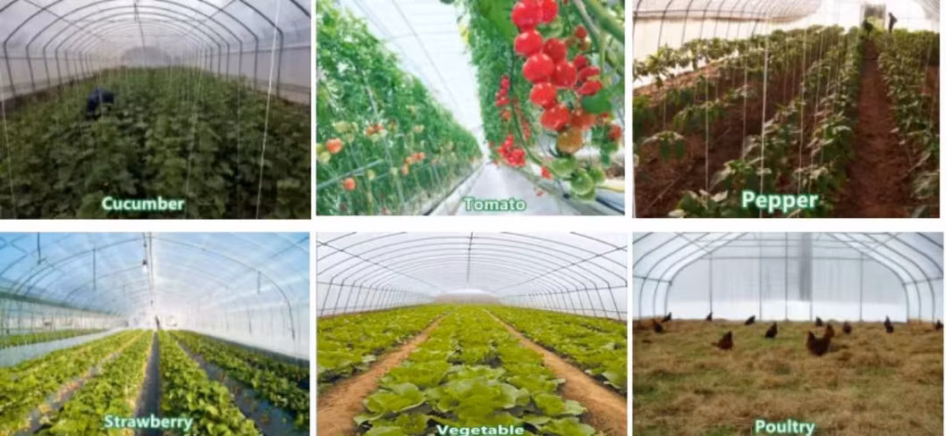 Wang Ran Agricultural Manufacturers Direct Hot DIP Galvanized Round Tube Elliptic Tube Plastic Elliptic Pipe