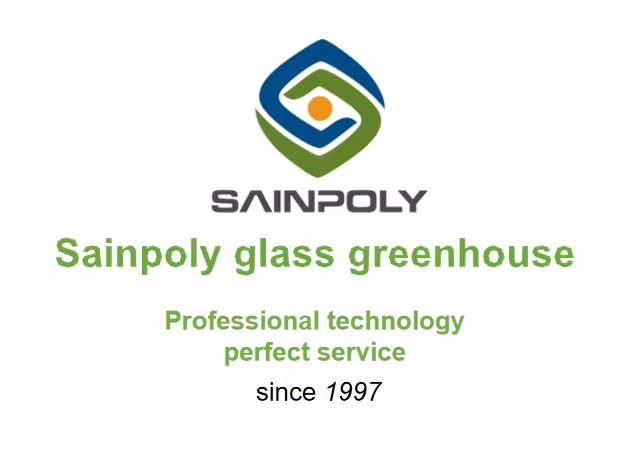 Strong Structure Galvanized Venlo Commerical Glass Green Houses