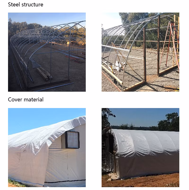 Single Span Nursery Hot DIP Galvanized Steel Frame Structure Greenhouse for Sale