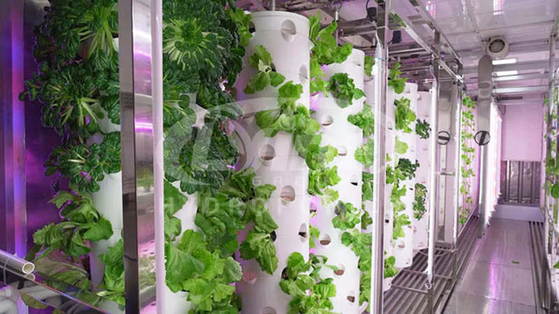 Greenhouse Vertical Farm System Hydroponic Container Farm for Vegetables