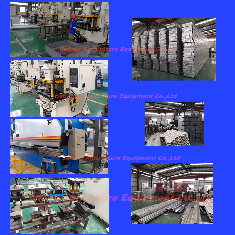 Cost-Effective PC Sheet Greenhouse for Tomato Hydroponic Growing in Middle Asia Area