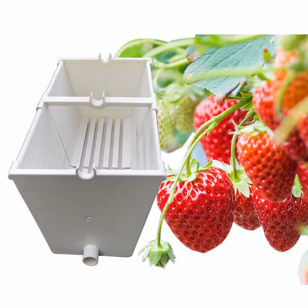 Green Houses Agriculture Commercial Nft Hydroponic System PVC Gutter for Strawberry Tomato
