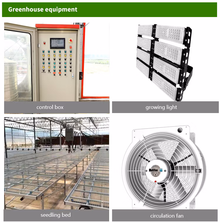 Modern Venlo Polycarbonate Greenhouse Multi-Span Commercial PC Sheet Greenhouses Supply Green House Overall System