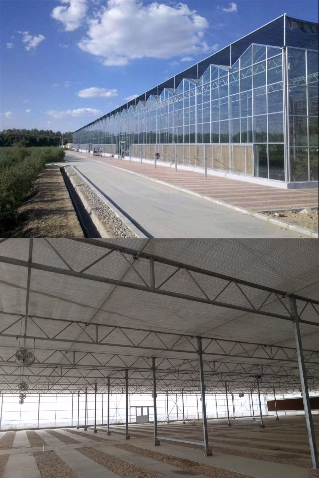 Venlo 4mm Tempered Glass Greenhouse High Transparent Glass Green House
