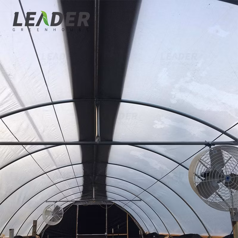 Galvanized Material Frame Single-Span Tunnel Greenhouse
