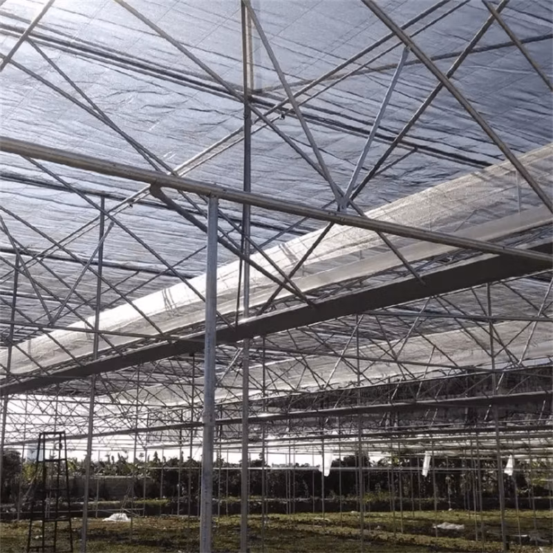 Cost-Effective Hydroponic Greenhouse with Anti-Fogging Irrigation System for Tomatoes