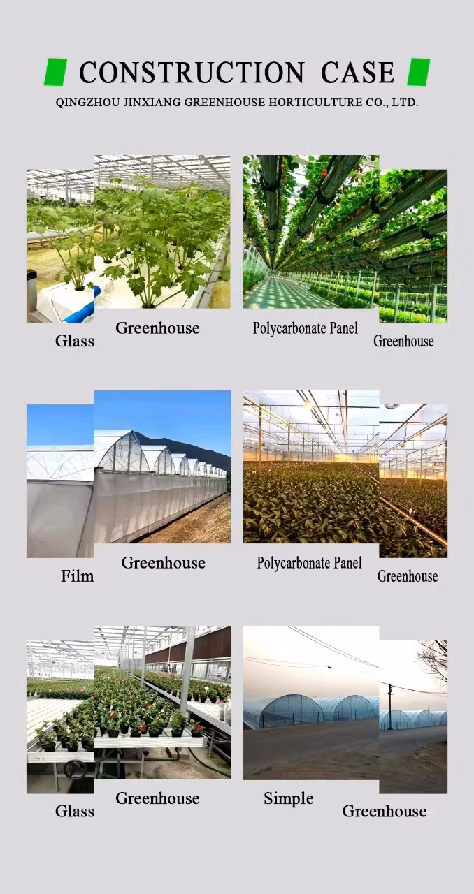 China Supplier Greenhouse Film Cover for Agriculture Rose Growing Equipped Climate Adjustment Systems