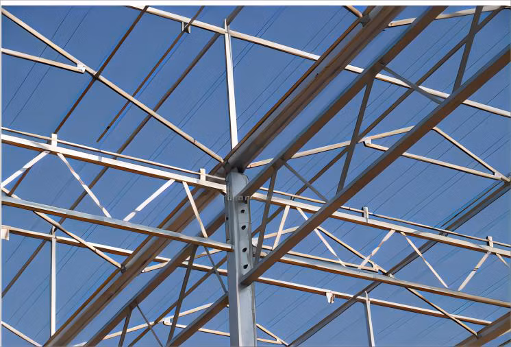 Agricultural Multi-Span Poly Film PE Plastic Films Greenhouse for Blueberry Tomato
