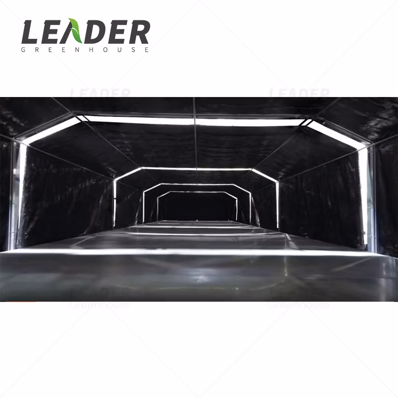 Single Span Nursery Hot DIP Galvanized Steel Frame Structure Greenhouse for Sale