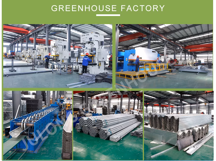 Agricultural Comercial Arched Type Polycarbonate Board/Sheet Greenhouse Multi-Span Greenhouse for Lettuce Tomato Cucumber