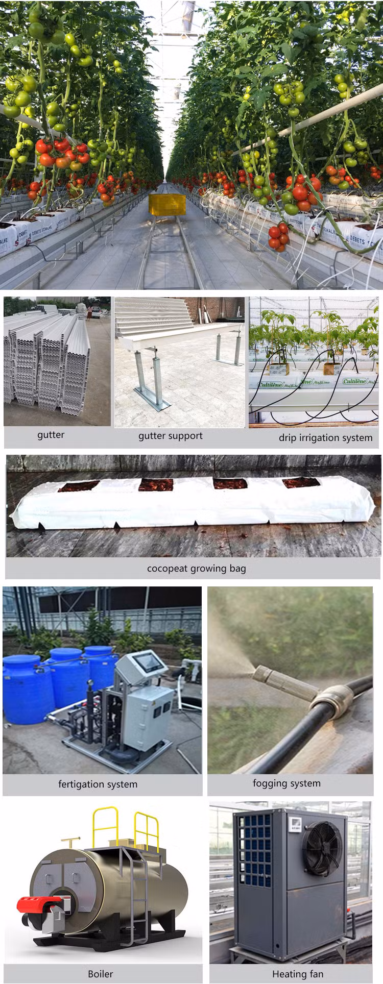 Agricultural Comercial Arched Type Polycarbonate Board/Sheet Greenhouse Multi-Span Greenhouse for Lettuce Tomato Cucumber