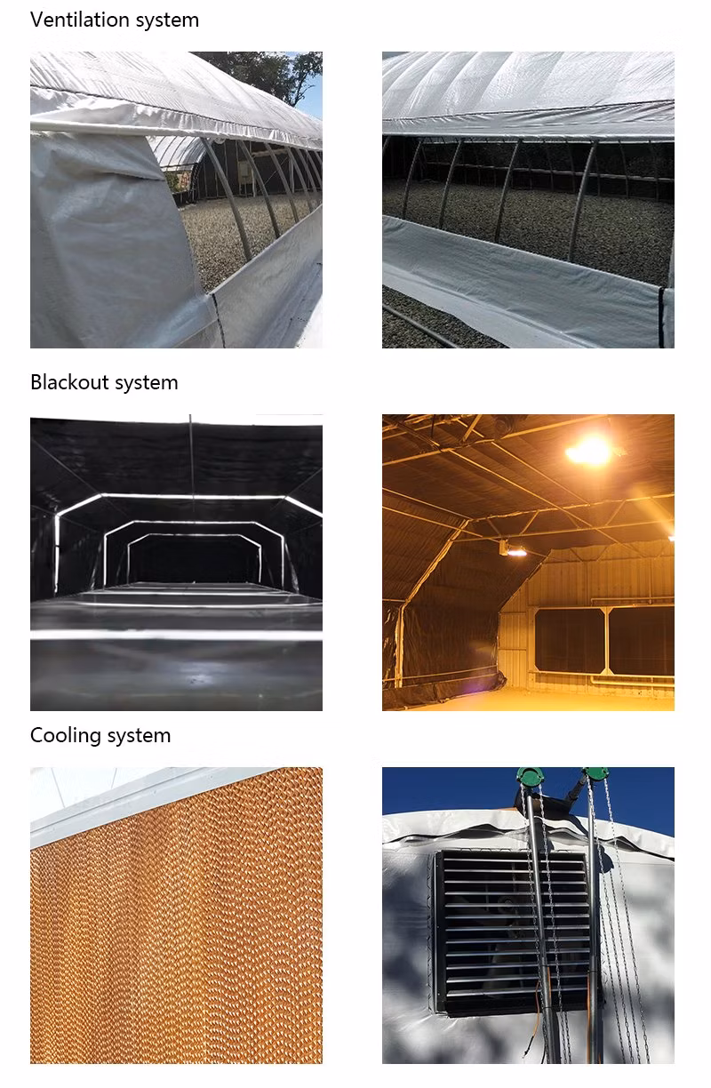 Professional Blackout Greenhouse with Low Price