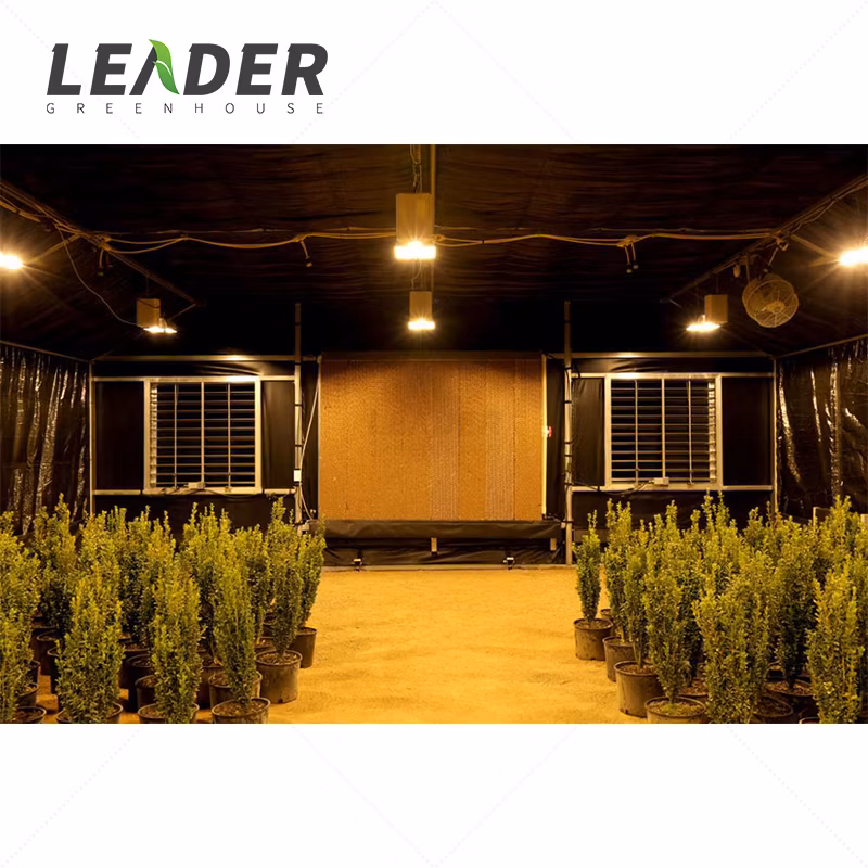 Professional Blackout Greenhouse with Low Price