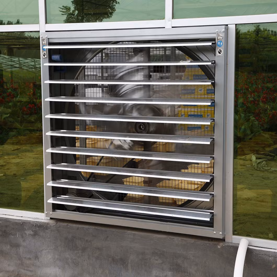 Cost-Effective PC Sheet Greenhouse for Tomato Hydroponic Growing in Middle Asia Area