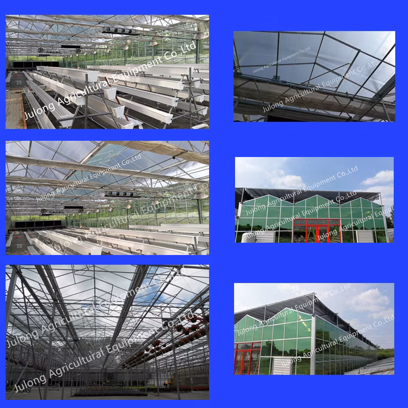 Complete Glass Agricultural Greenhouse Israel Project with Quick Construction