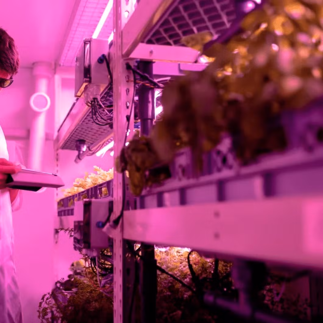LED Light Container Farm Greenhouse for Efficient Hydroponic Seedling Growth