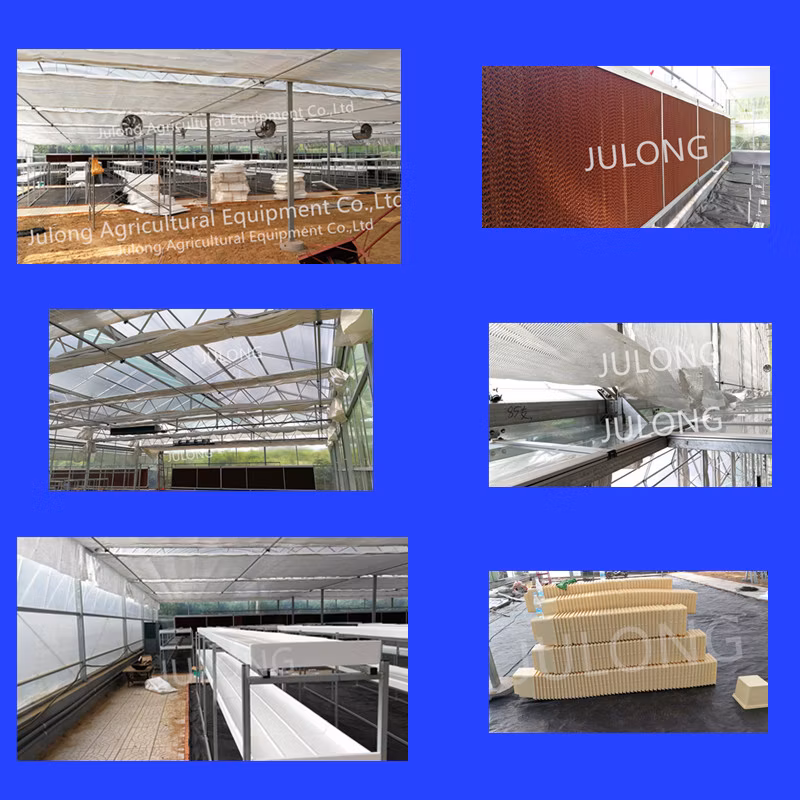 Complete Glass Agricultural Greenhouse Israel Project with Quick Construction