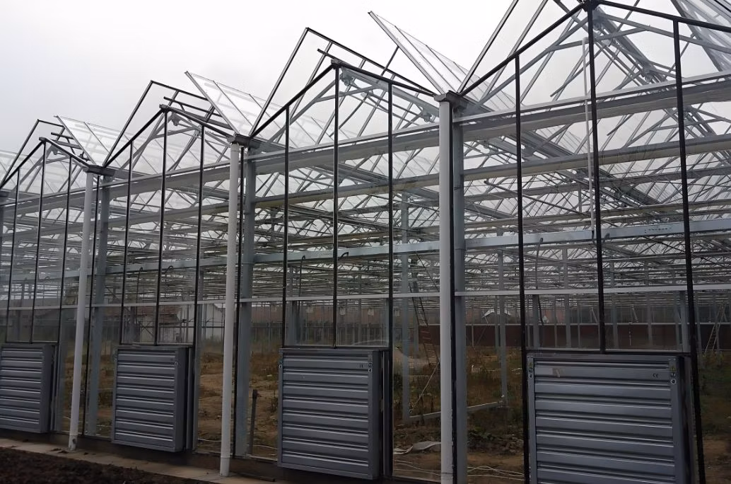 Venlo Multi-Span Intelligent Agricultural Glass Greenhouse with Hydroponics for Vegetable and Fruit Cultivation Selling to Europe/Africa/ Asia