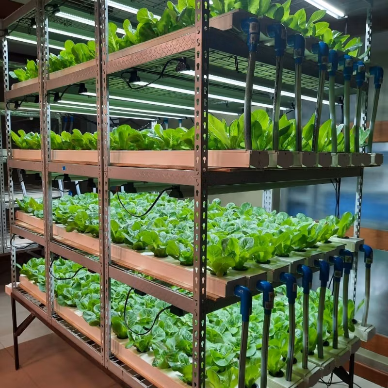 Vertical Farming Solutions Indoor Hydroponic Gardening Nft Setup