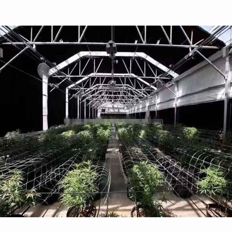 High Quality Commercial PE Film Large-Span Hot Galvanizing Hoop Greenhouse for Fruits/Mushroom