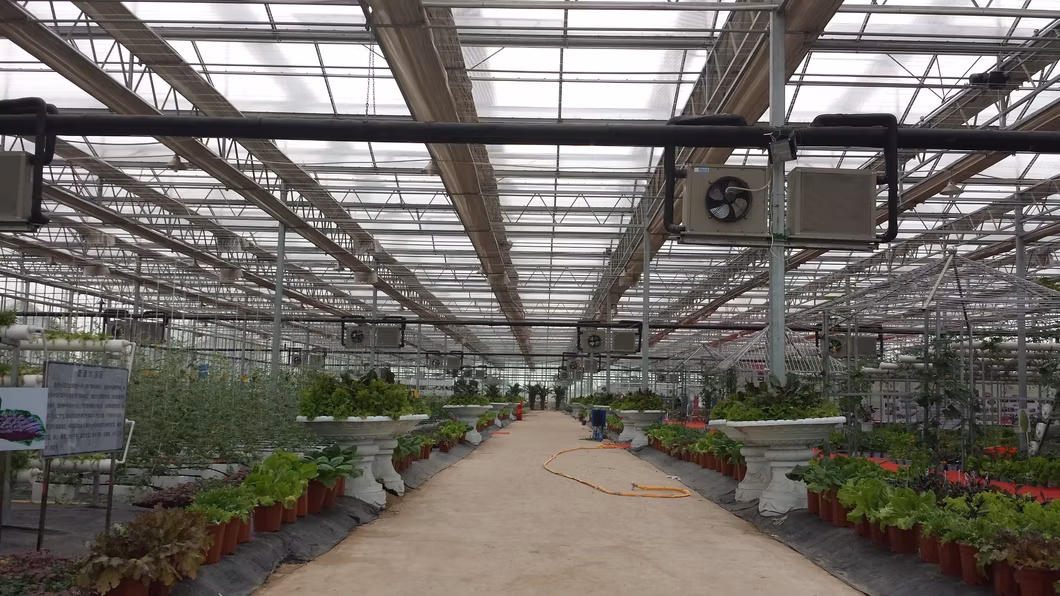 Customized Temperature Regulated Hydroponic Seedling Greenhouse, Planting Hydroponic Leafy Vegetables, Tomatoes, Strawberries, Pepper