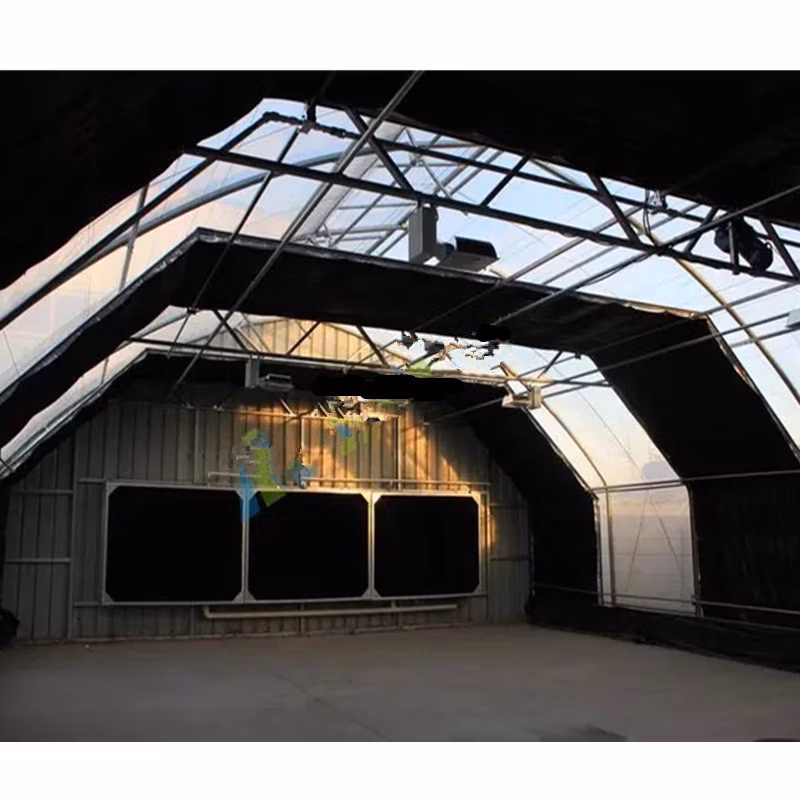 High Quality Commercial PE Film Large-Span Hot Galvanizing Hoop Greenhouse for Fruits/Mushroom