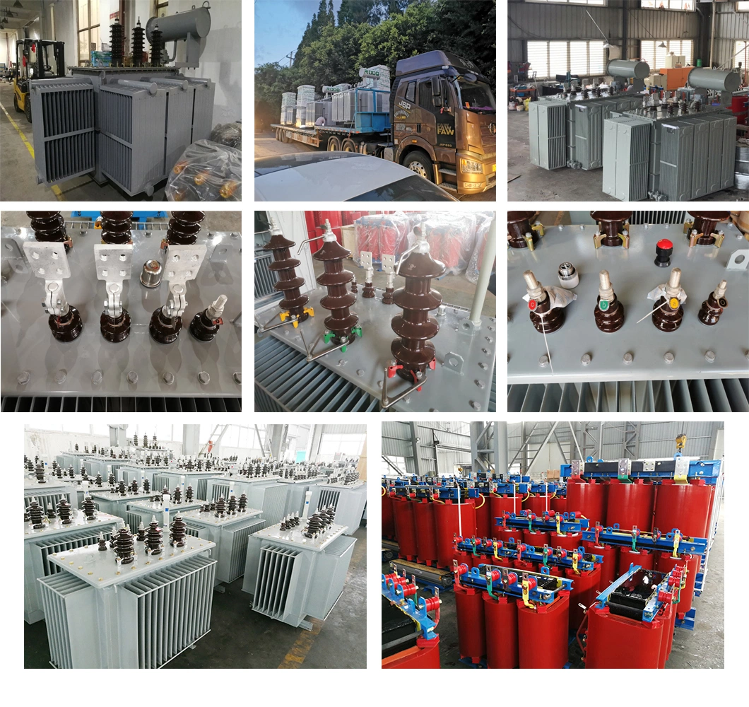 6kv/11kv/33kv/35kv Power/Distribution Transformer with Oil Immersed and Dry Type