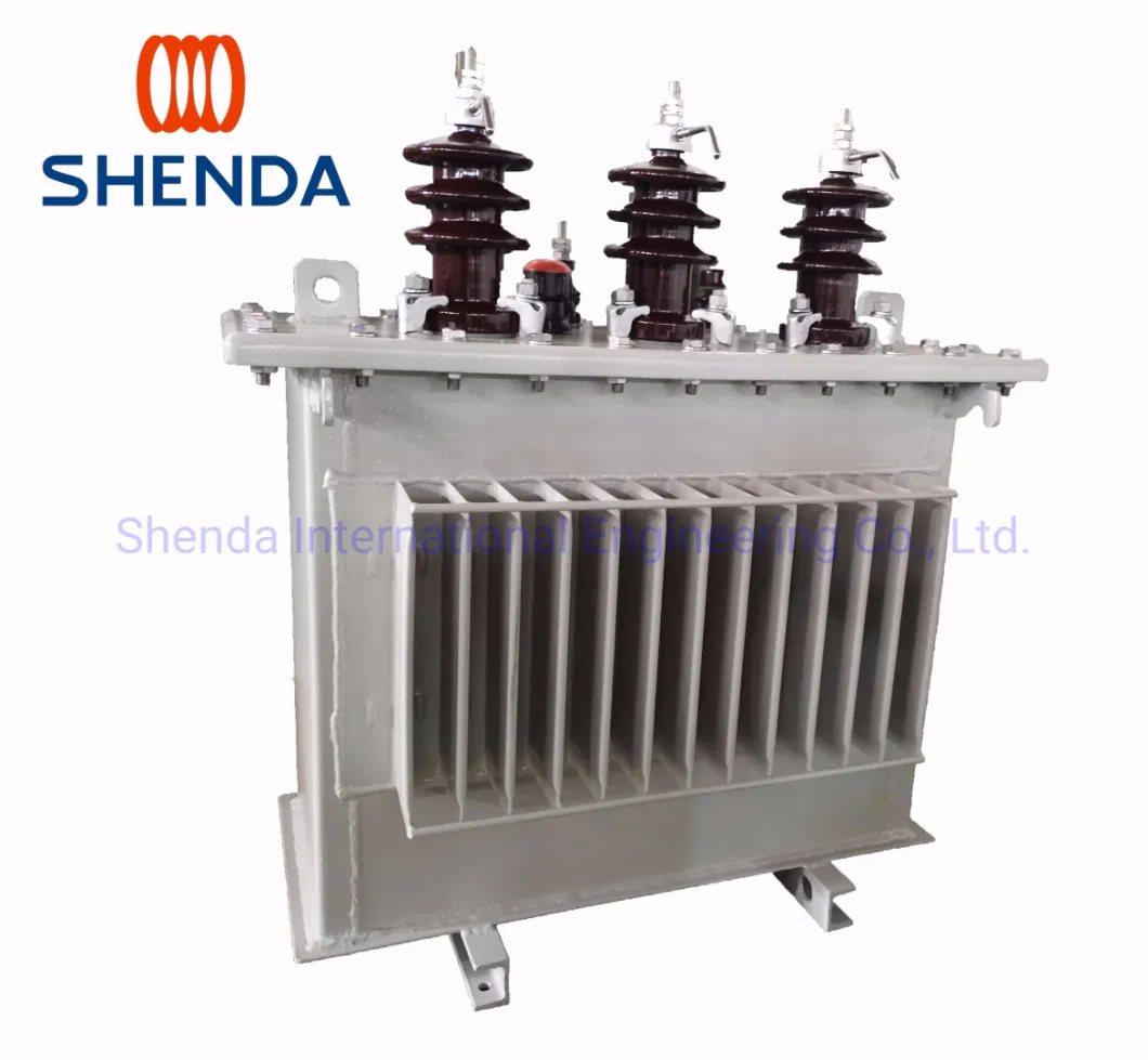 11kv 25kVA Level Full Sealed Distribution Transformer