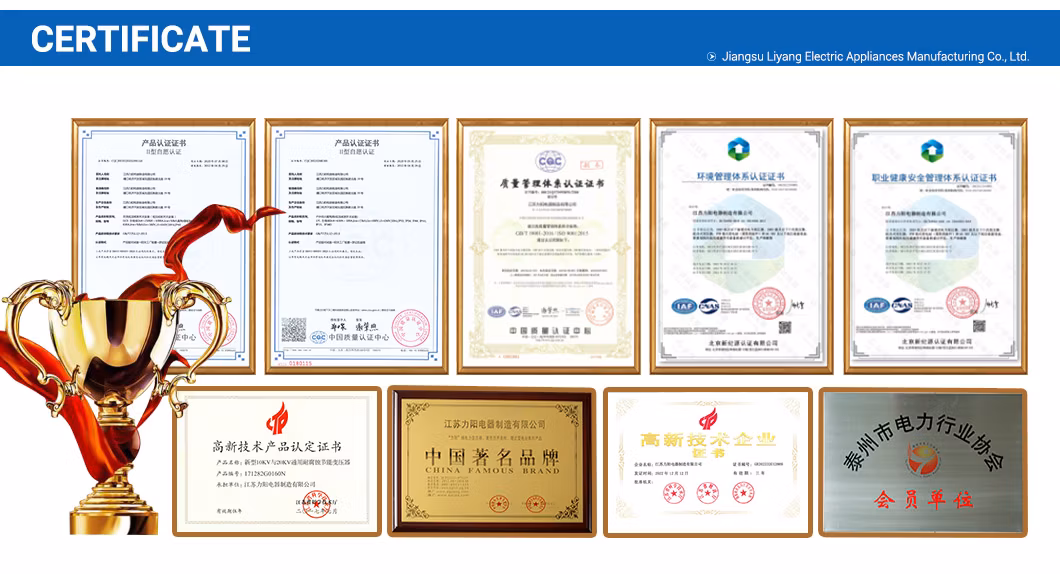 Core-Type Liyang Electric Switching Power Supply Dry Type Transformer with ISO9001
