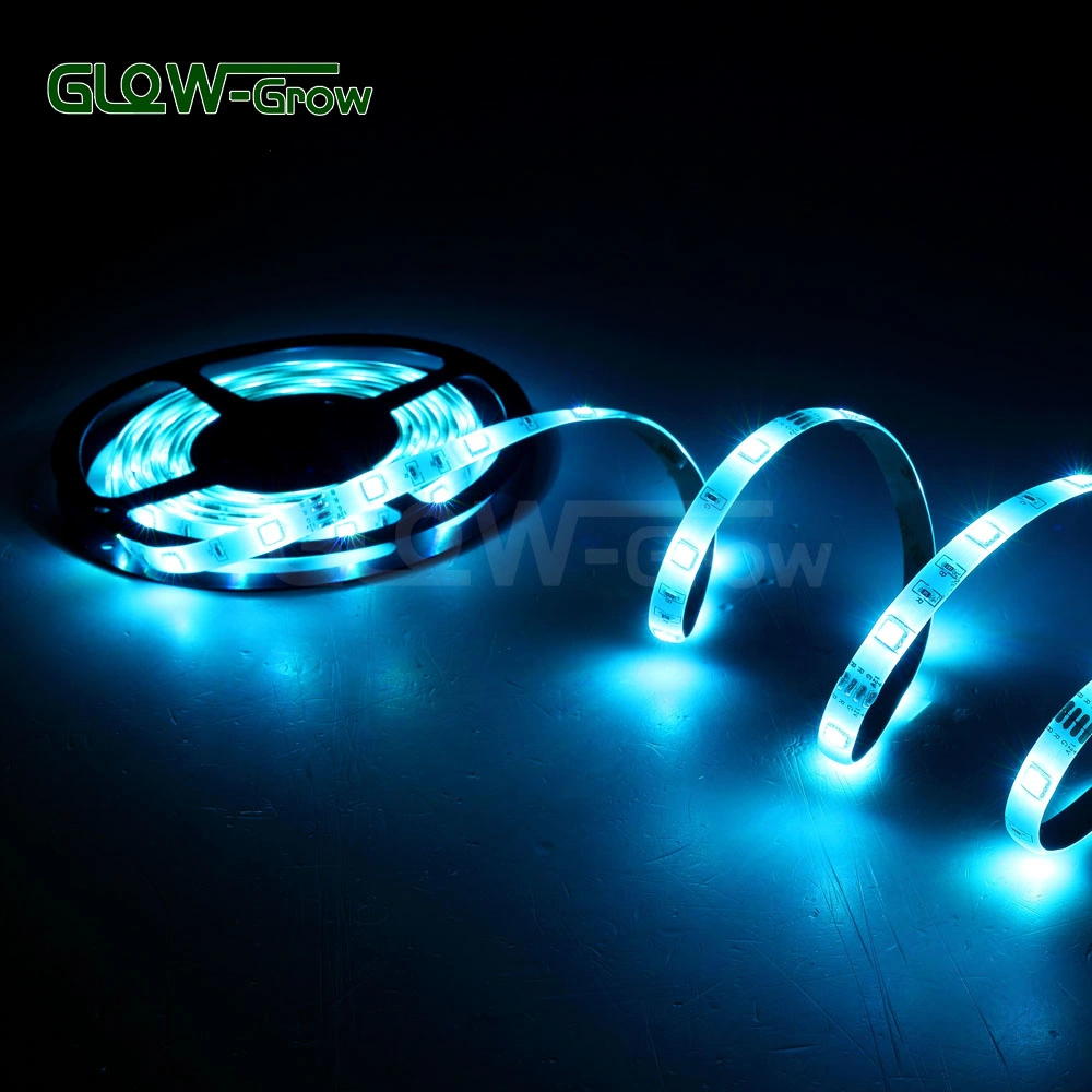 5m 30LEDs/M 12V 3.6W/M Waterproof SMD Flexible RGB LED Strip for Christmas Bar Home Wedding Party Decoration