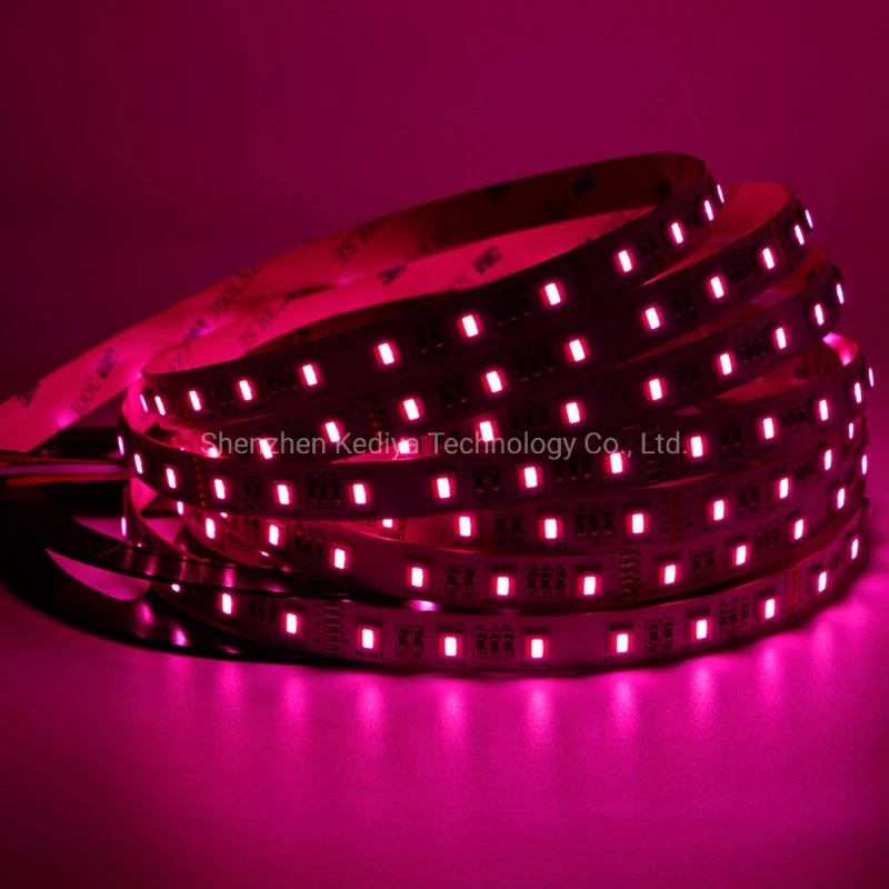 Waterproof Tape Rgbcct 5050 Rgbww Cw Addressable Smart Digital Multi Color SMD5050 Rgbcct LED Strip Light