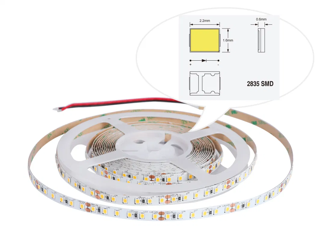 3 Years Warranty 10mm Width 5m Single Row 2835 LED Strip 24V 12V Flexible 120LEDs/M LED Strip Light White/Warm White