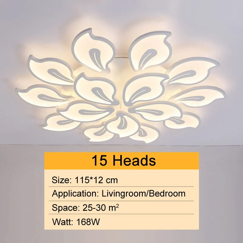 Fancy Acrylic Ceiling Lights for Bedroom Living Room Ceiling Lamp (WH-MA-53)