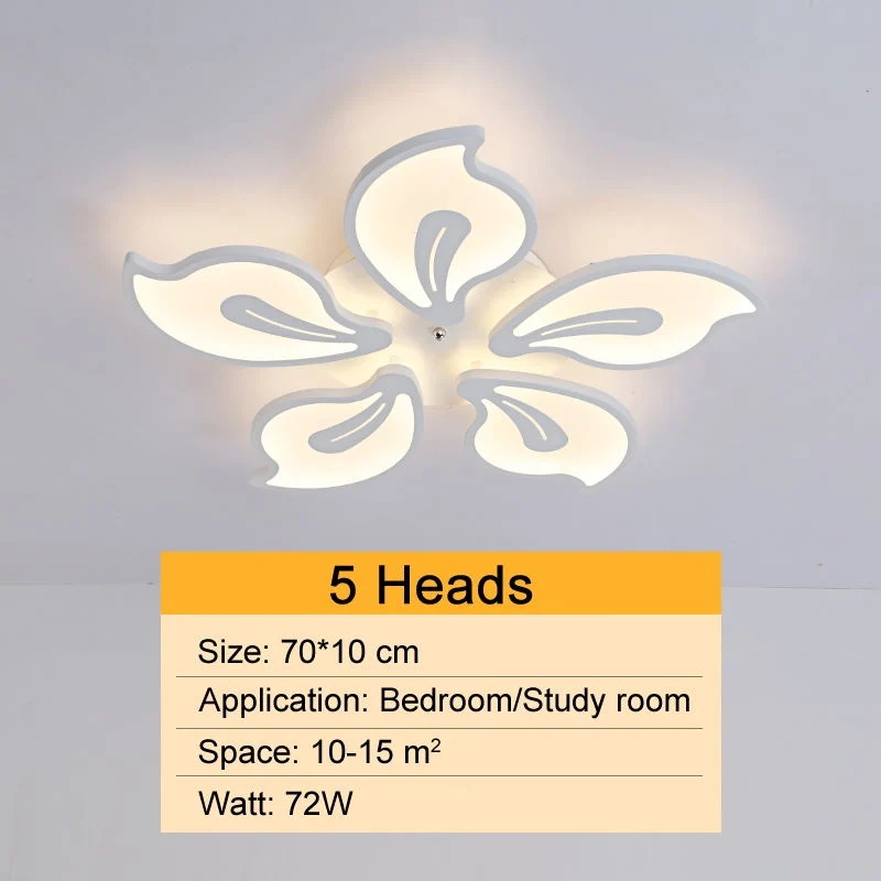 Fancy Acrylic Ceiling Lights for Bedroom Living Room Ceiling Lamp (WH-MA-53)